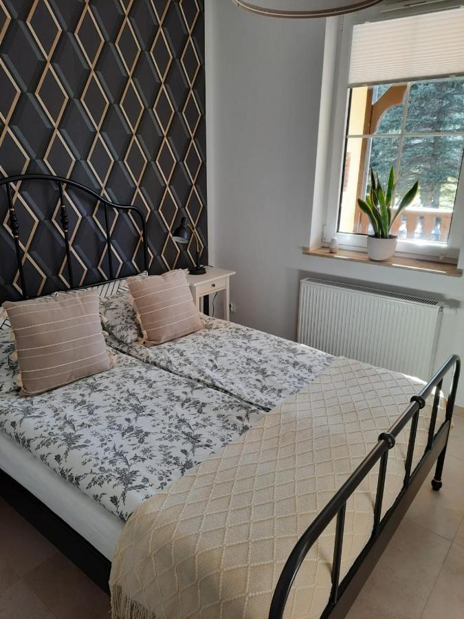 Apartament Felina Сверадув-Здруй Экстерьер фото